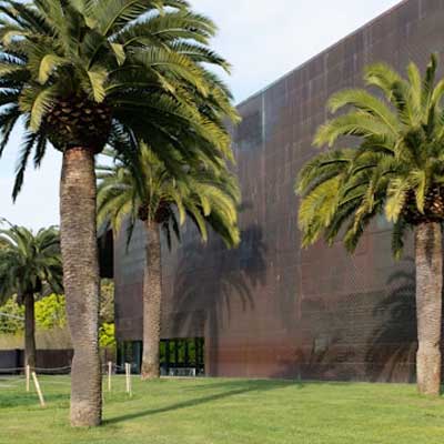 de Young Museum