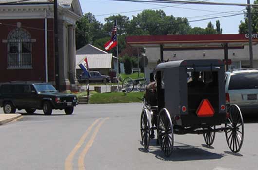 Amish Buggy in Intercourse