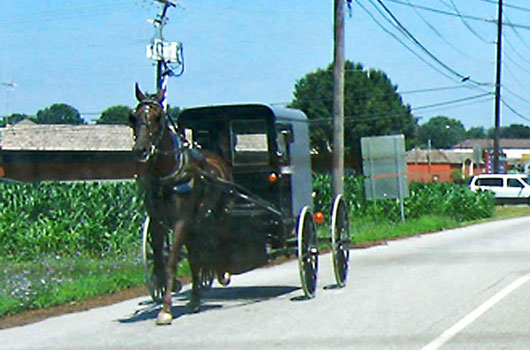 Amish Buggy, Intercourse